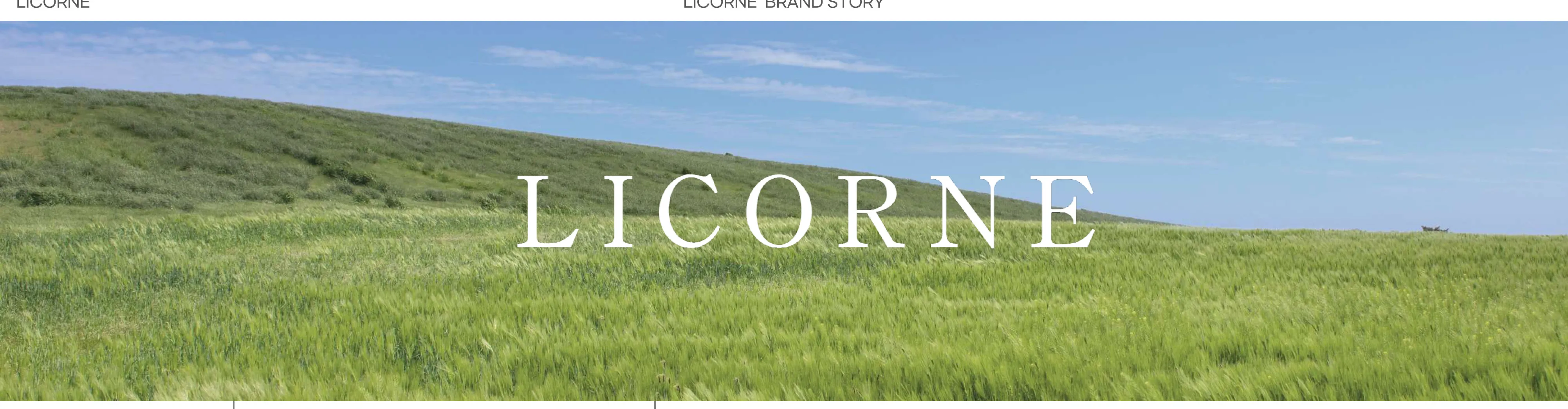 LICORNE Cosmetics — LICORNE Cosmetics by Limetree Co., Ltd., a Korean vegan skincare brand: hydration, brightening, PDRN-inspired recovery and soothing dermacare across 29 SKUs