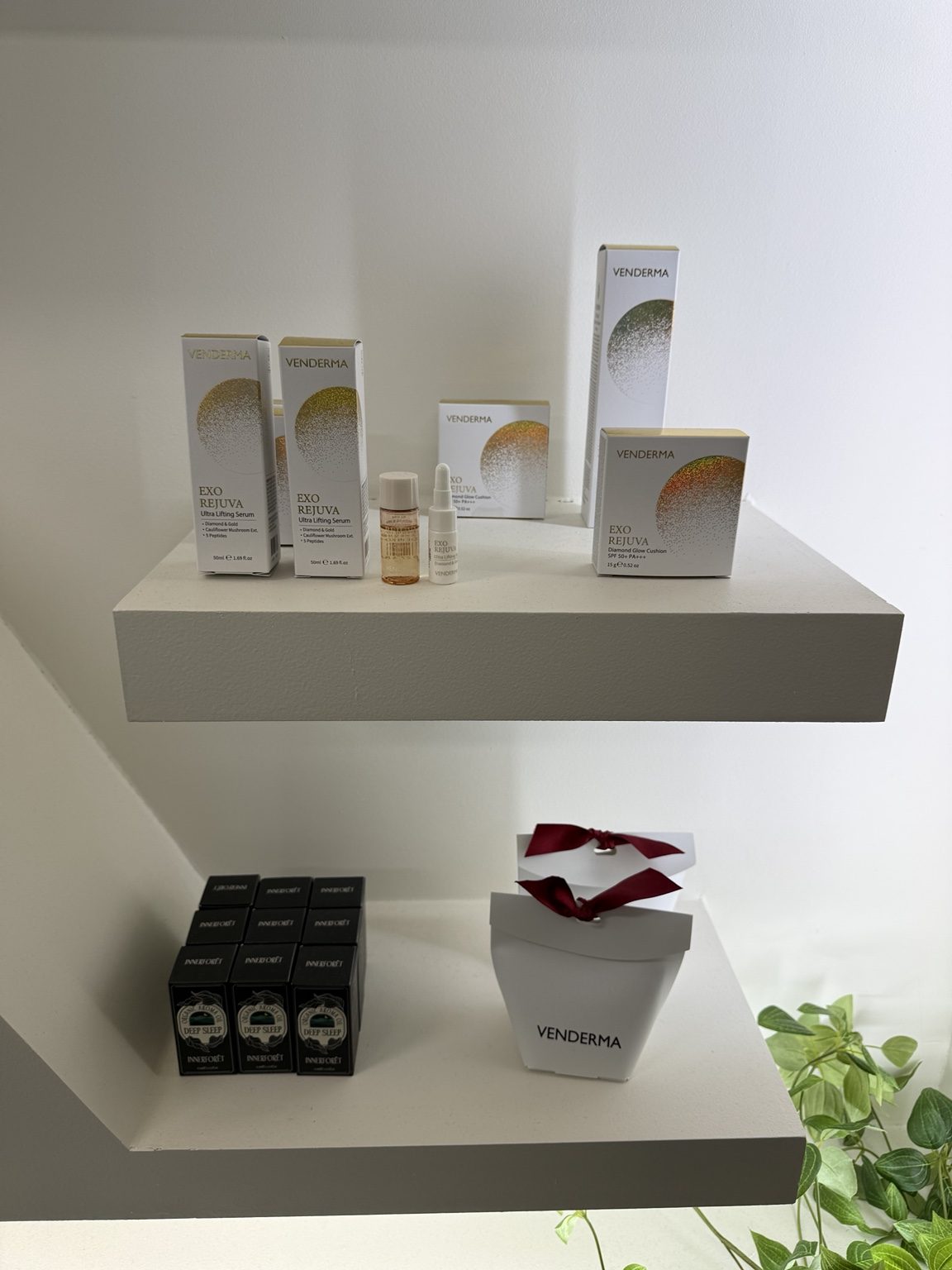 BIOPT Co., Ltd. — Проверено — личный визит 6